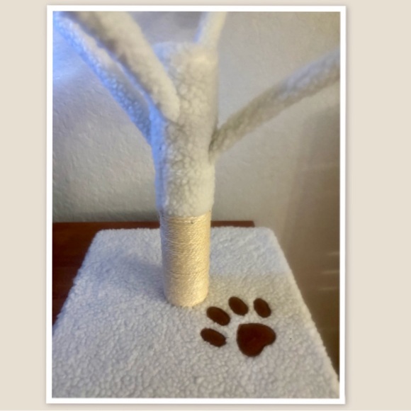 Kitty Play Post - Picture 2 of 4